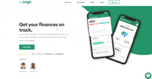 How to Delete Brigit Account